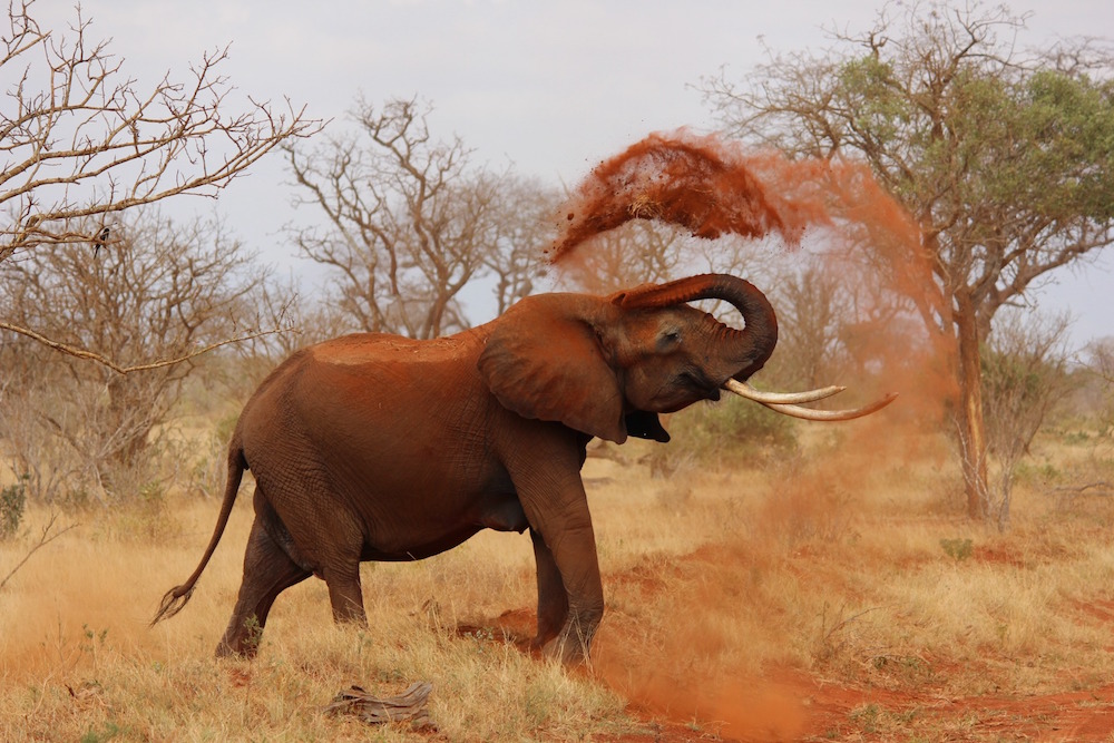 rainbow tours kenia