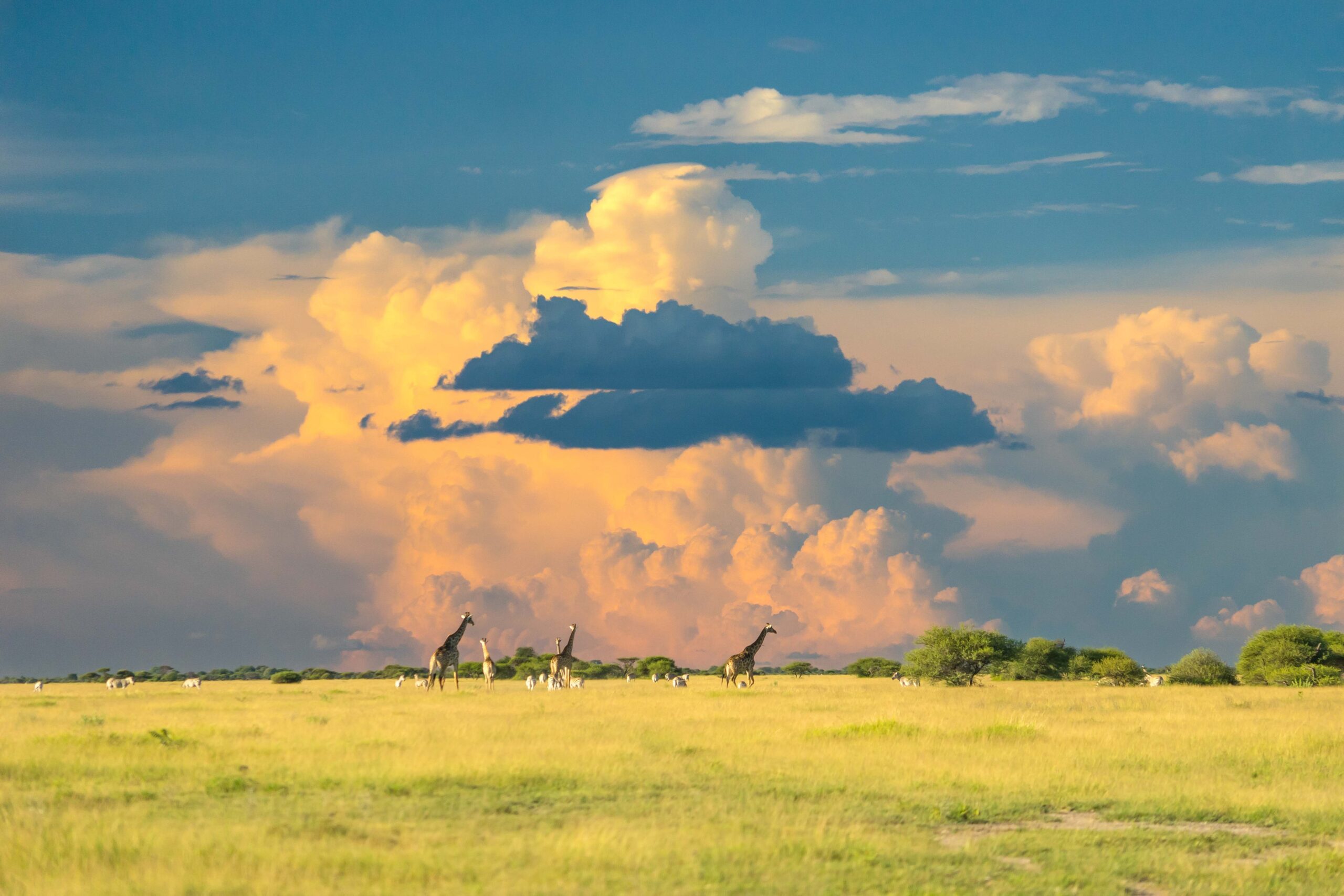 Why Visiting Botswana Needs To Be On Your Travel Radar | Away To Africa