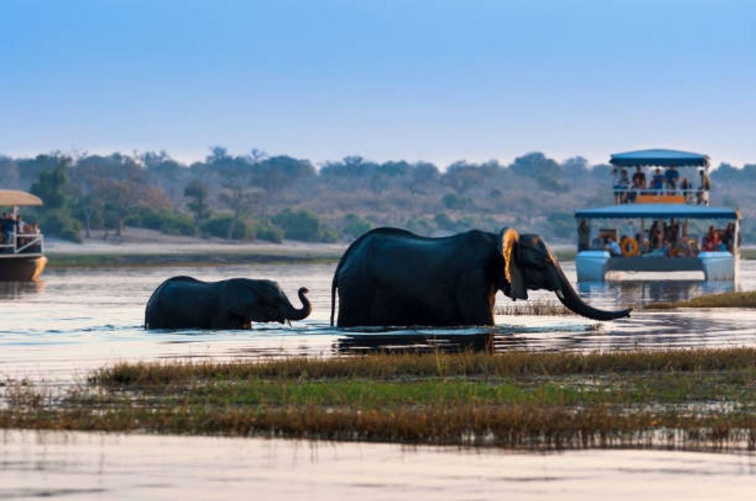 Away to Africa Sunset Cruise Chobe River Botswana