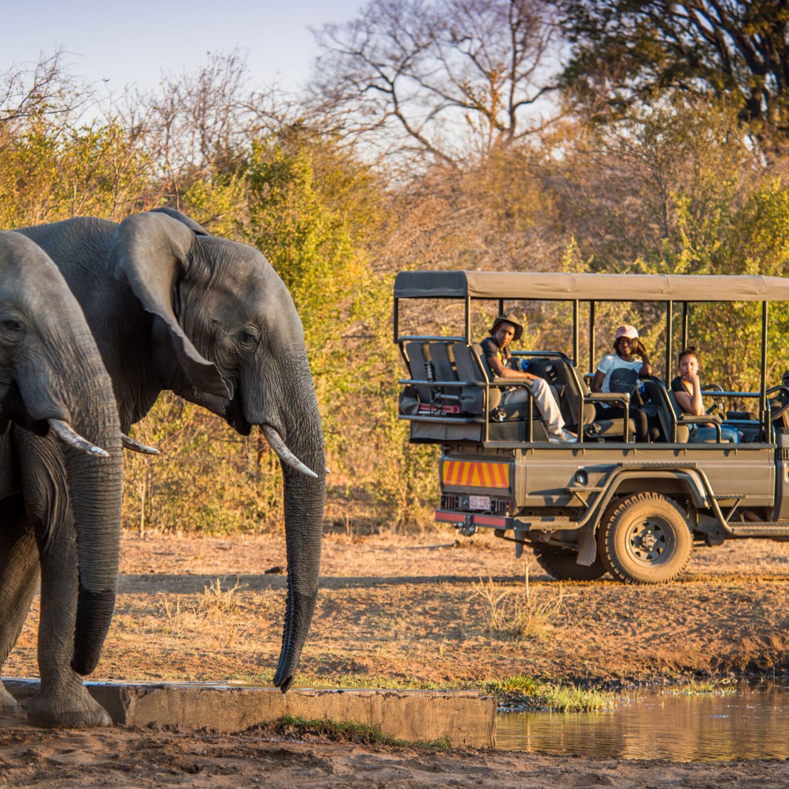 Game Drive Zimbabwe Away to Africa Stanley Livingstone