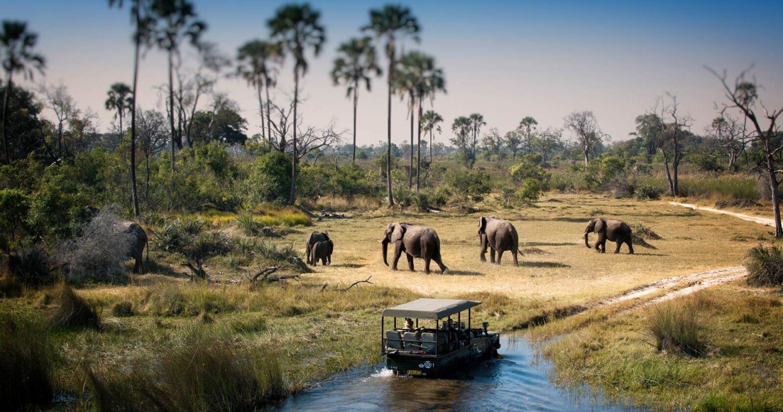 botswana-chobe-elephant away to africa