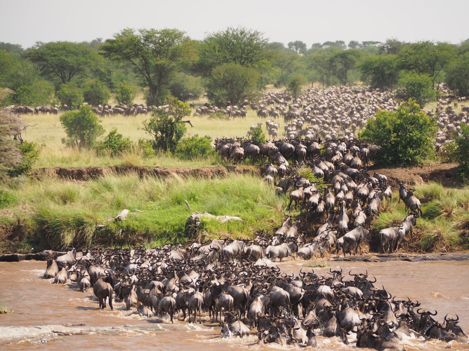 rainbow tours kenia